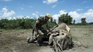 La sequía diezma a la fauna de los parques nacionales en Kenia