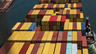 US dockworkers launch mass strike month before election