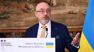 France to send more mobile artillery to Ukraine: defence minister