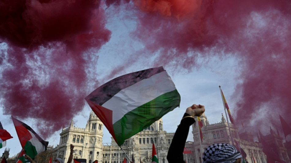 Espagne: 20.000 manifestants contre le "génocide" à Gaza 