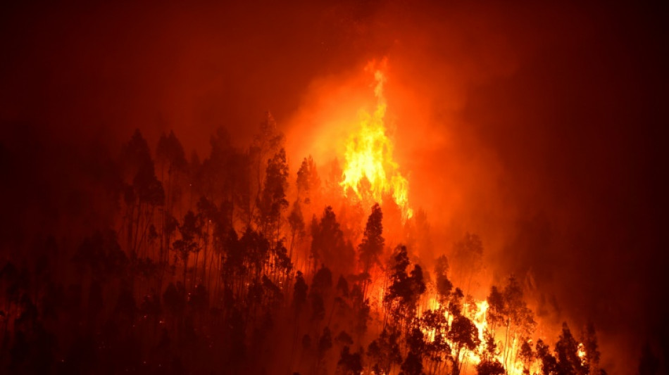 La CEDH se penche sur "l'inaction climatique" de 32 Etats