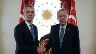 Le chef de l'Otan appelle de nouveau Erdogan à lever son veto contre la Suède