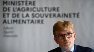 La sécheresse amoindrit la production de maïs grain en France