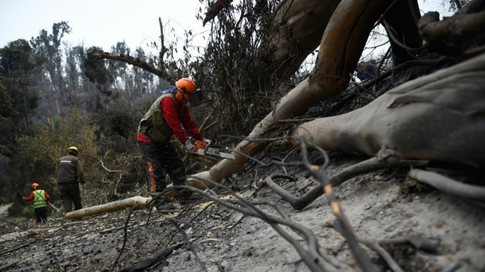 Maior jardim botânico do Chile é devastado por incêndios florestais