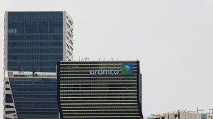 UN experts challenge Saudi Aramco over climate change