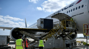 Une panne du système de bagages provoque la "pagaille" à Orly