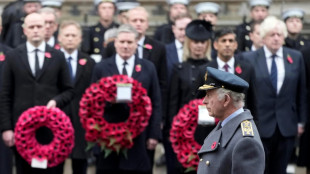 King Charles III leads silence for British war dead