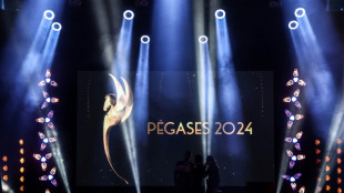 Pégases 2025: le jeu vidéo français fêté à Paris, dans l'ombre de la crise