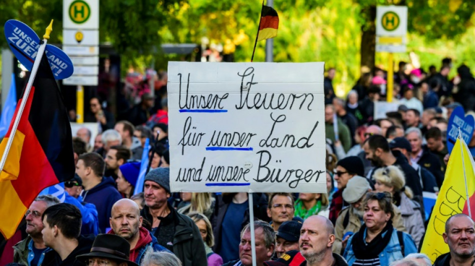 Angriffe auf Journalisten und Hitlergrüße - Polizei zieht Bilanz nach AfD-Demo