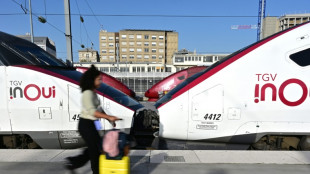 Grève des contrôleurs SNCF: un TGV sur deux pour un des principaux week-ends de chassé-croisé