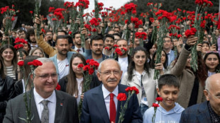 How Turkey's election went wrong for Erdogan's rival