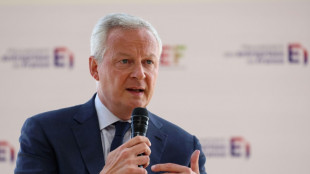 Le Maire veut baisser les impôts pour soutenir l'économie et augmenter les recettes de l'Etat