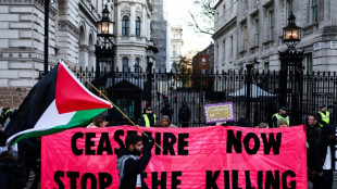 Nouvelle manifestation d'ampleur en soutien aux Palestiniens à Londres