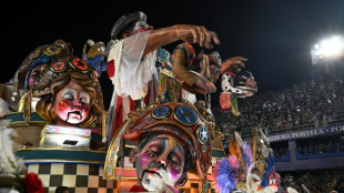 Rio carnival title goes to parade on Brazil's northeast