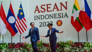 Indonesia tells outsiders not to use ASEAN as 'proxy'