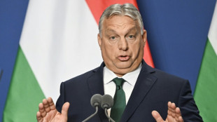 EU verurteilt mutmaßliche Orban-Reise zu Putin scharf
