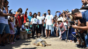 Endangered sea turtles get second life at Tunisian centre