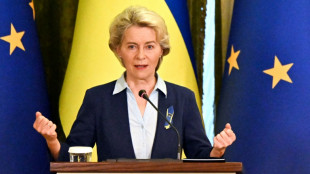 Ukraine to get word on EU hopes next week: von der Leyen