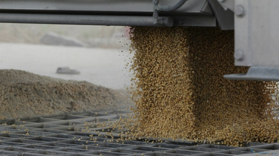 Drought-hit farmers in US heartland hope Mississippi 'comes back'