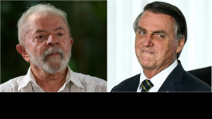 Brésil : dans le duel Lula-Bolsonaro, les noms d'oiseaux fusent