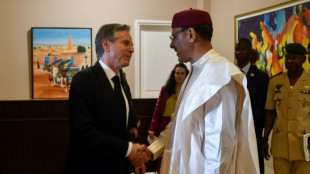 Blinken bolsters support for Niger as Russia expands nearby