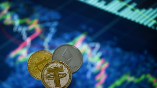 Le bitcoin s'enflamme et repasse le cap des 20.000 dollars