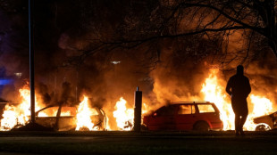 Several dozen hurt in days of unrest in Sweden