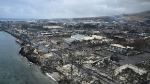 Destructions volontaires? La désinformation s'embrase dans la foulée des incendies en Amérique du Nord