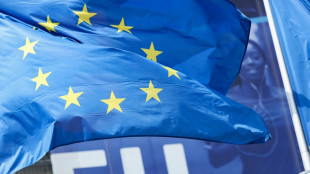 EU-Kommission befürwortet Reform der Königsklasse