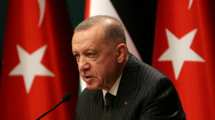 Erdogan acusa a la UE de la crisis energética por sancionar a Rusia