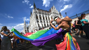 Flying the flag: Thousands march in defiant Hungary pride 