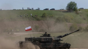 Poland ups pressure to send German-made tanks to Ukraine