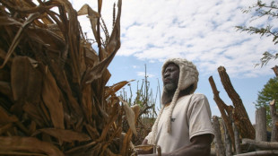 Se acaban los alimentos en Zimbabue debido a una grave sequía