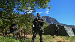 Colombia rebels to halt attacks during UN biodiversity summit