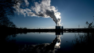 CO2 pollution expected to hit new record in 2023: researchers