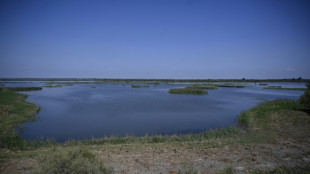 Las negociaciones sobre biodiversidad se abren en Ginebra