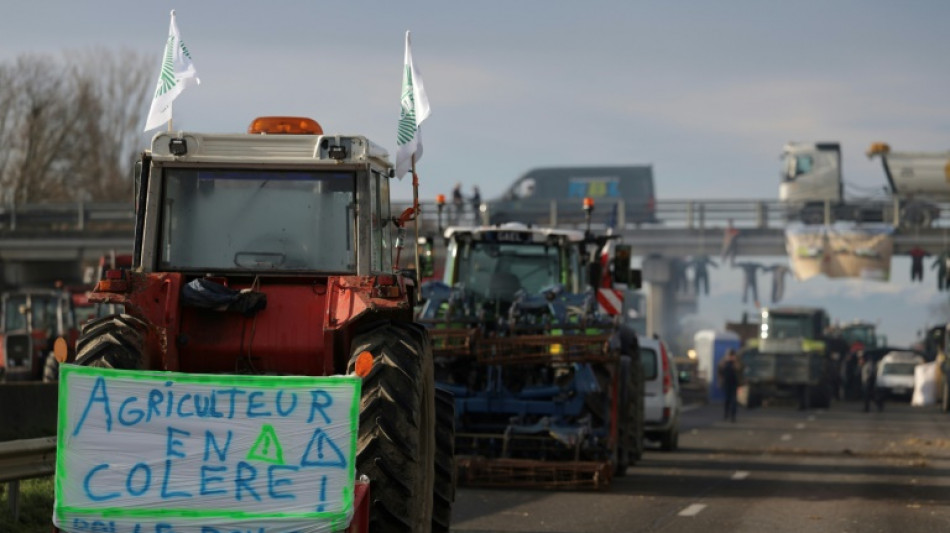 En Occitanie, le ras-le-bol agricole mobilise tous azimuts