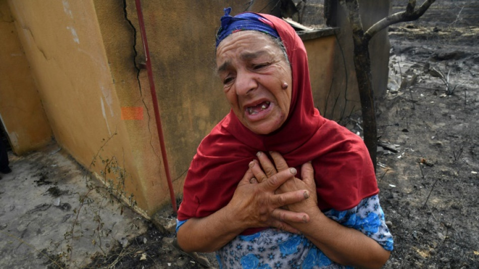 Desolación en Argelia tras los incendios que dejaron 38 muertos