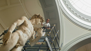 Italy curator slams 'ignorance' in US Michelangelo row