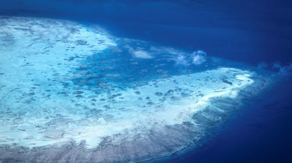 Australie: la Grande barrière de corail frappée par le pire épisode de blanchissement jamais observé