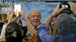 Selfies et hourrahs: Lula accueilli en héros à la COP27