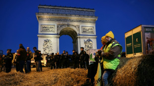 Agriculteurs: la Coordination rurale mène une action autour de l'Arc de Triomphe à Paris 