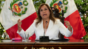 Boluarte calls for Peru 'truce' as protesters mass again in Lima