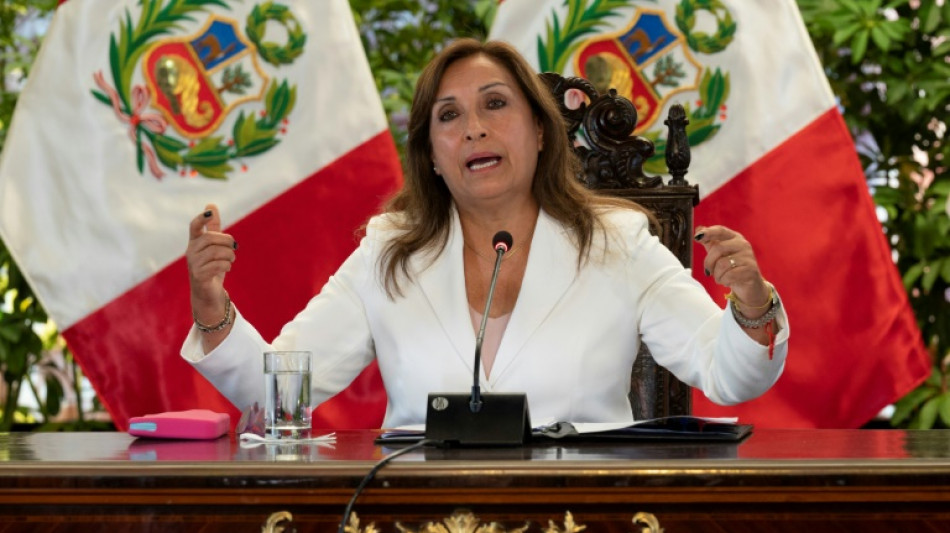 Peru president calls for 'truce' after weeks of unrest