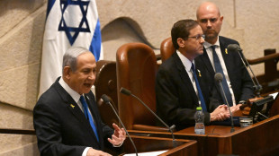 Netanyahu, nessuna offerta per 4 ostaggi, direi subito sì