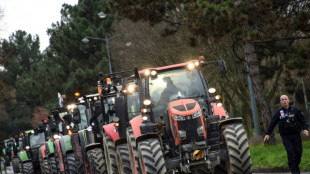 Levée de blocages mais certains agriculteurs veulent poursuivre le mouvement