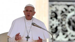 El papa pide que no se use el trigo como arma de guerra