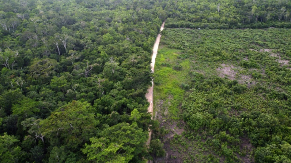 Reclaiming land stolen in heart of Guatemalan reserve