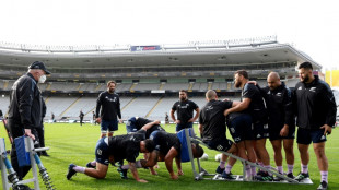 Motivated All Blacks carry 'scar tissue' from last Ireland loss