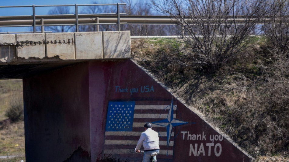 From the Cold War to the Ukraine war: NATO in brief